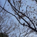 용답동 토속공원 주민활력소 | 용답토속공원