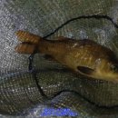 능곡 낚시터 이미지