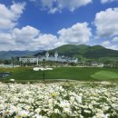 궁전스크린골프 이미지