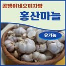 홍산농장 | 미생물로 키운 인제산 유기농 홍산마늘, 곰탱이네오미자팜의 특별한 선물