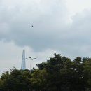 네이처(Nature) | 원어민 영어 숲체험 클래스 - 네이처네비게이터 잠실 후기(Nature navigators)