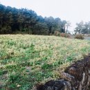 서연스테이 이미지