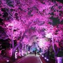 신평동1033 이미지