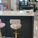 고양이 미용 미오 이미지