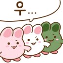 팜스돈가