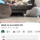 부처울골천 | 쉬었음고삼