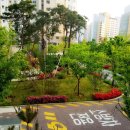 김포호수초등학교