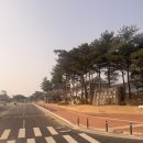 김해뒷고기 | [예천/도청] 경북도청 평화김해뒷고기 메뉴 후기