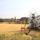 황토참숯방 이미지