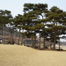 성주이씨 열녀문 | 김정희 선생의 묵향이 서려있는 &#39;예산군 추사고택&#39;