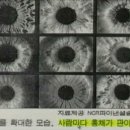 이스트윈드