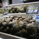 조개몽땅 이미지