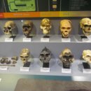 전자통신연구원 이미지