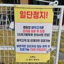 더 담다