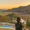 이랜드파크 켄싱턴 호텔 평창 | 강원도 평창 켄싱턴호텔 11월 가을 단풍 가족여행 숙소 추천