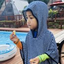 세모난나무 이미지