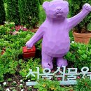 마곡대한공인중개사사무소 이미지