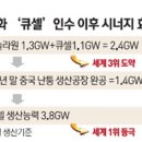 도계 태양광발전소 서울경제