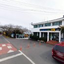 명월리[서] 티스토리