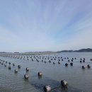 ㈜신안천사김 이미지