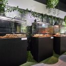 자연생태박물관 이미지