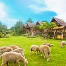 누리목장 이미지