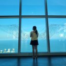 (상반기)그림책으로 배우는 회복탄력성 | (긴 연휴동안) 부산여행 후기, 꽃들에게 희망을 어른이책, MBC아나운서 작사가 김수지, 사장 썸머 채널...