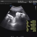 율산부인과의원 이미지