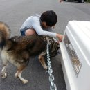 꽃님켄넬 이미지