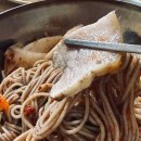 철원막국수 | 강원도 철원 막국수 맛집 내대막국수 주차 등 후기