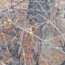 까치울역 4번 출구 이미지