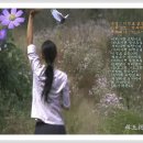 거리 이정표 이미지