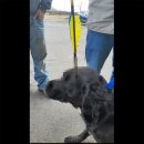 젬마동물병원 이미지