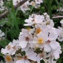 통합경로당 이미지