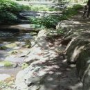 금수강산환경 이미지