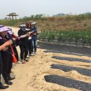 국립농산물품질관리원 충남지원 아산사무소 이미지