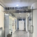 영등포동물병원 | 신길 동물병원 추천 재활치료까지 가능한 영등포 동물병원 동물의료센터24인치 방문 후기