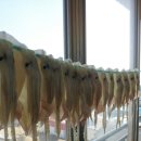 나의목장 이미지