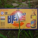 과림 낚시터 이미지