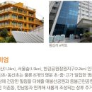 명당옥수 이미지