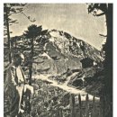 유니버셜의안 | 히말라야를 넘어서