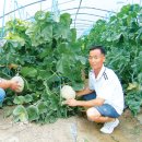 용덕농장 이미지