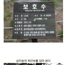 상야1리 Daum카페