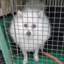 내서읍141 이미지