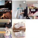 경단녀도 가능했던 릴스 기획 변화! 크리투스(구 릴스해커) 강의 솔직 후기