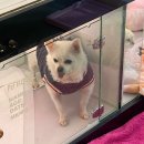 고덕24시 동물병원 이미지