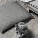 잠실종합동물병원 이미지