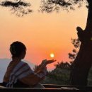 숲의하루 이미지