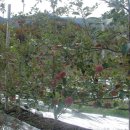 듬뿍농장 이미지