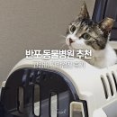 해봄동물병원 | 반포 동물병원 반포베이스동물의료센터 고양이 건강검진 후기